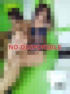 Azul 2212631357 - Escort en Puebla capital